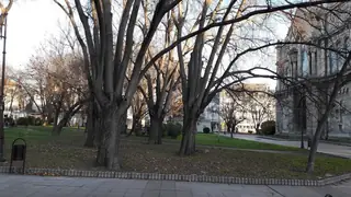 Градинката до катедралата Варна