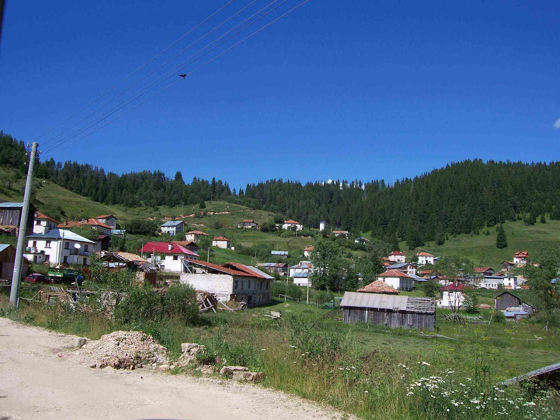 Кожари