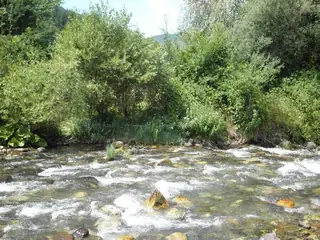 Рилска река