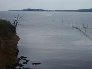 Нос Кафка (Кабата)