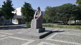 Паметник на Димитър Благоев - Видин