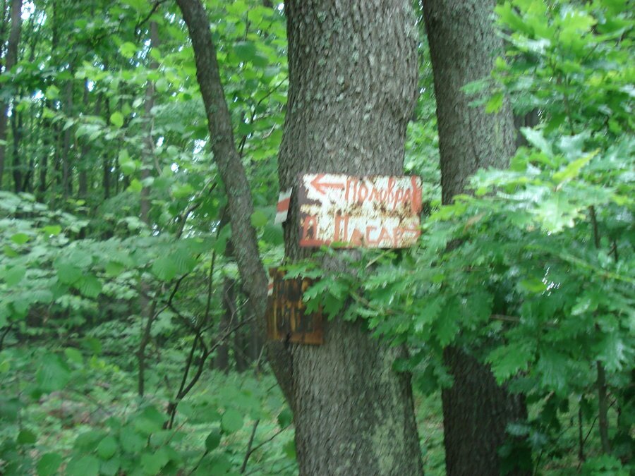 Връх Попов дял