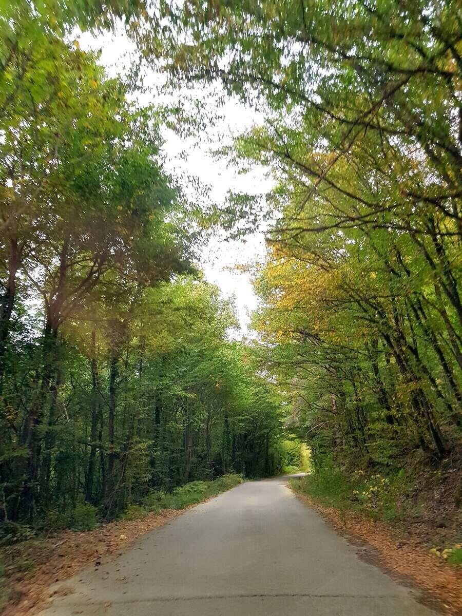 "По пътя на четата на Цанко Дюстабанов" – с. Енев рът
