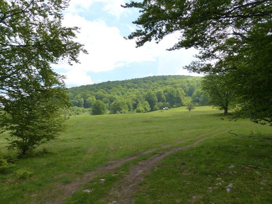 Поддържан резерват "Богдан"