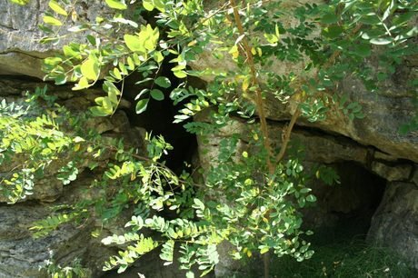 Защитена местност "Рибино"