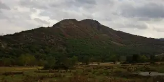 Защитена местност "Патронка"