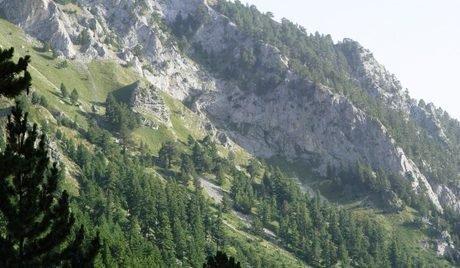 Парков район Вихрен - Пирин