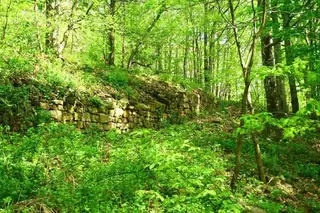 Крепост "Ургури"