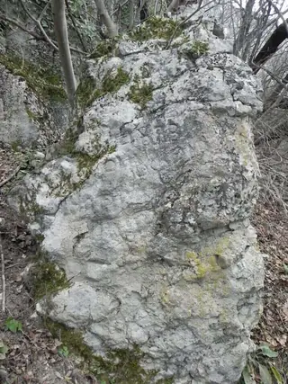 Менхир с издълбан надпис - Самоводене