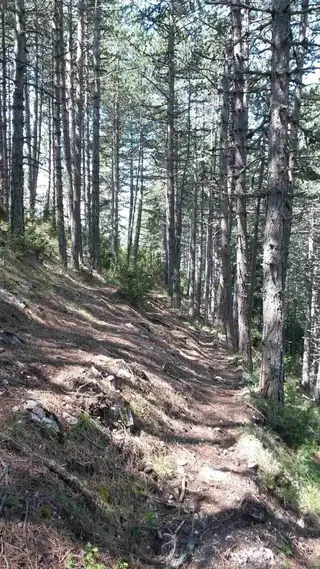 Маршрут Гьоврен - м. "Вълчи камък"