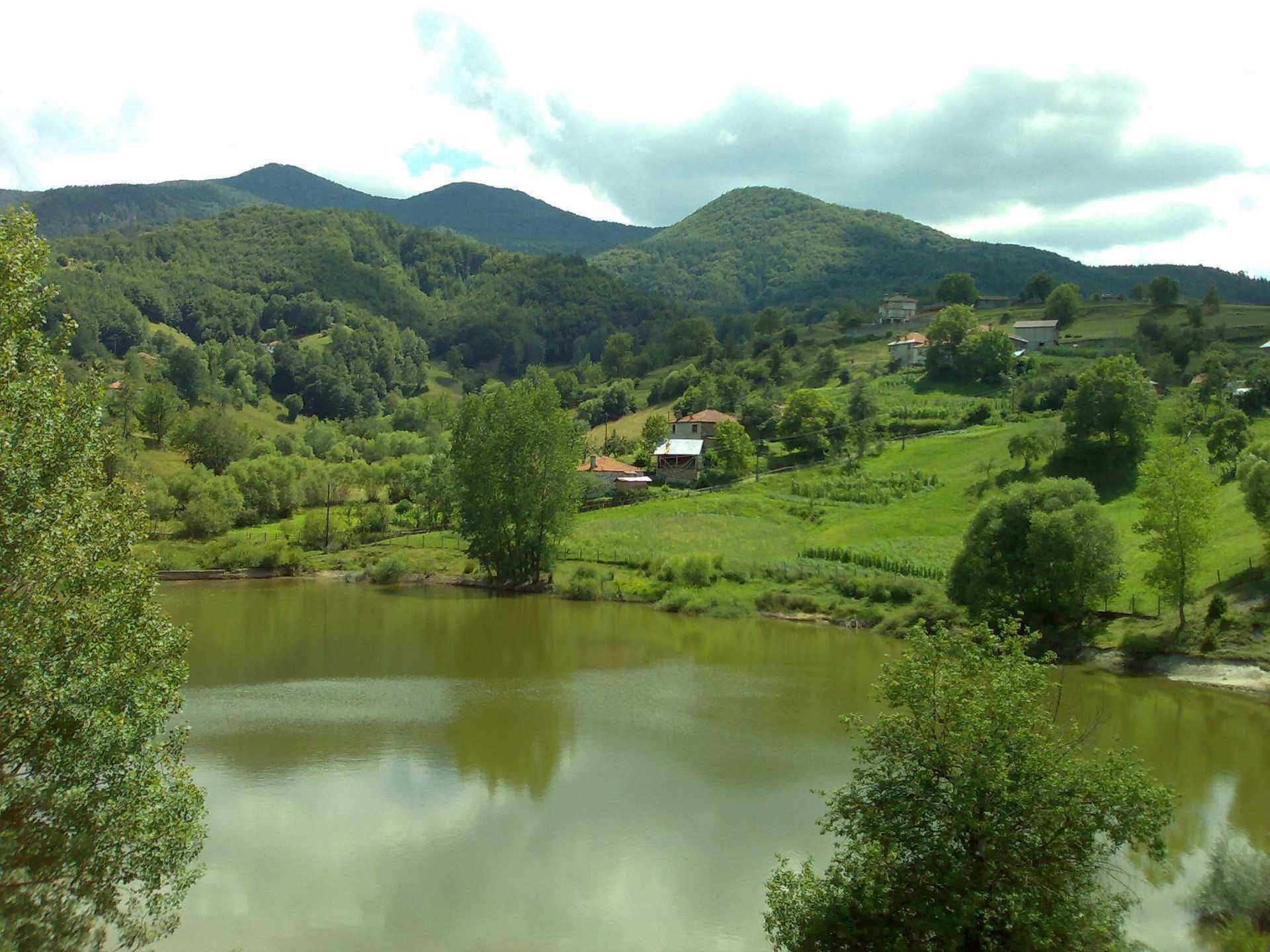 Горна Арда