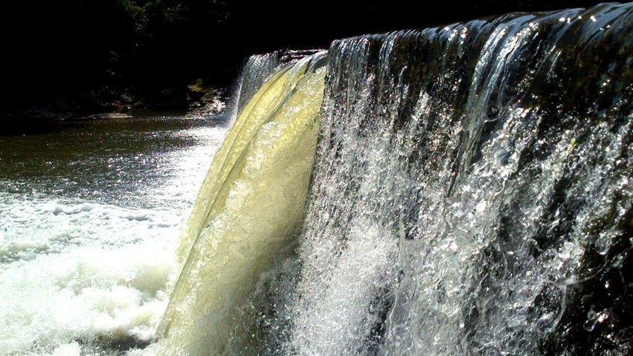 Лесопарк "Шаварна"