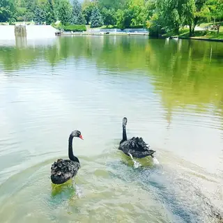 Езерото - Сaндaнски