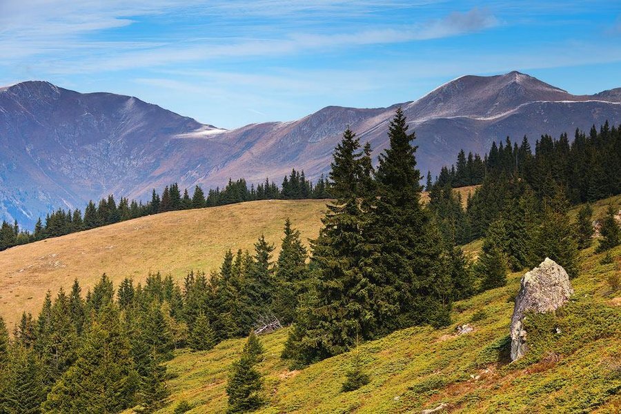 Масив "Равнец"