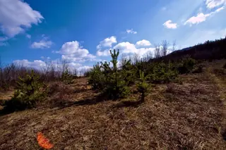 Връх Калето - Кънчево