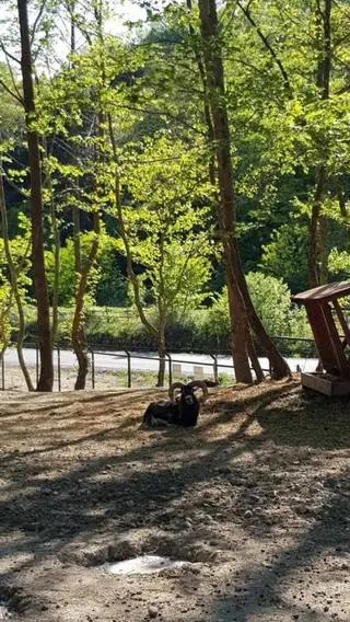 Зоокът - Сандански