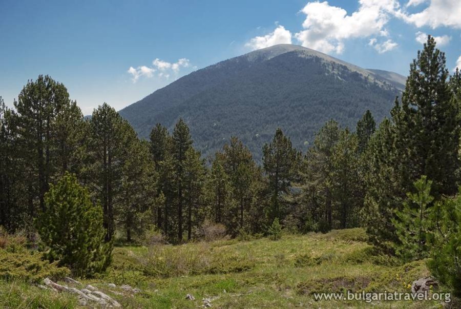 Резерват "Али ботуш"