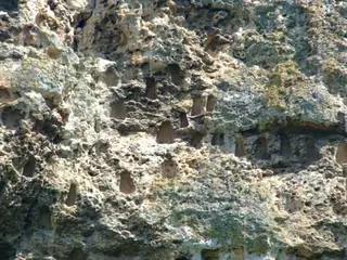 Скални ниши - Странджево