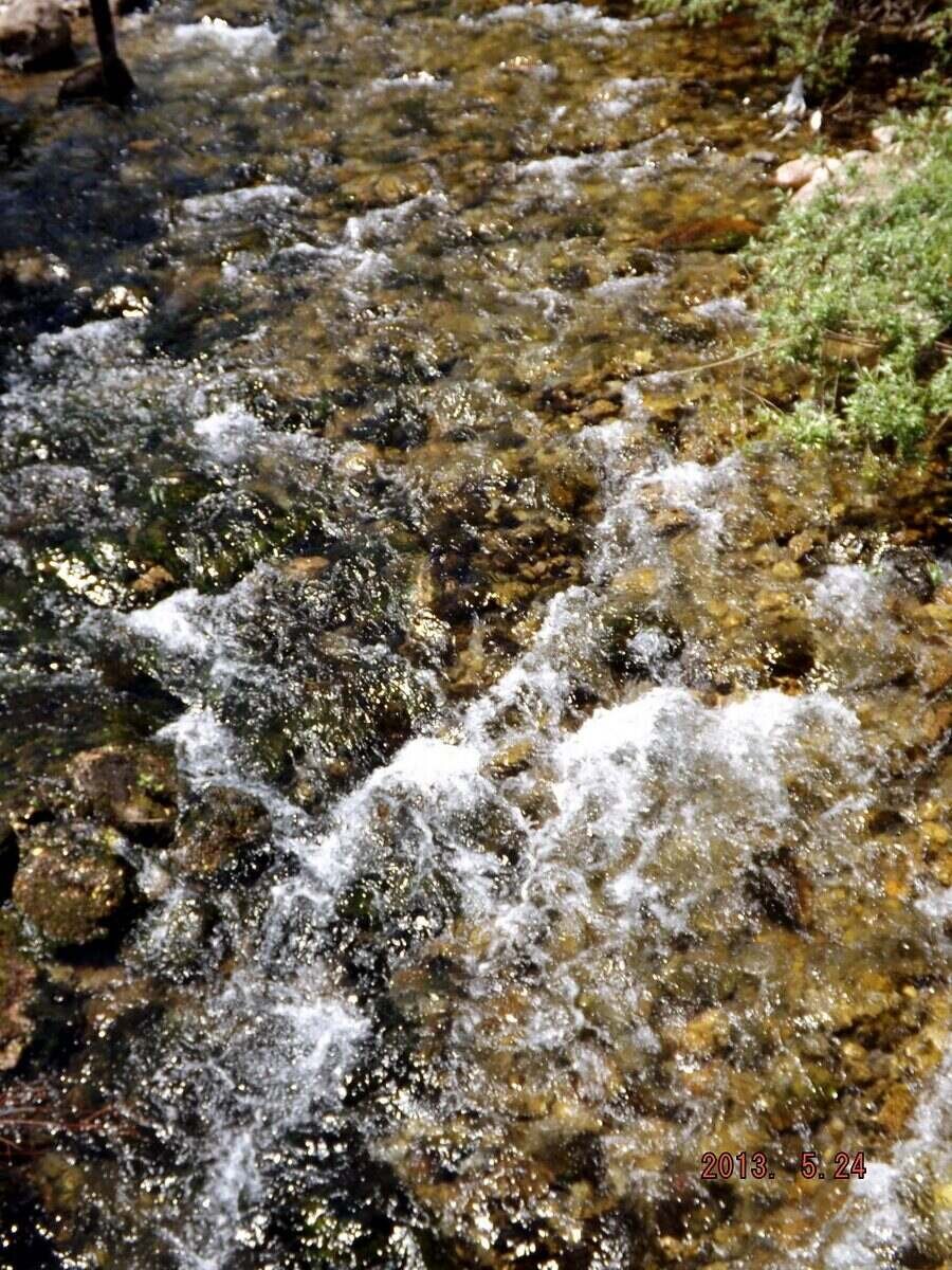 Искрецки карстови извори - Искрец