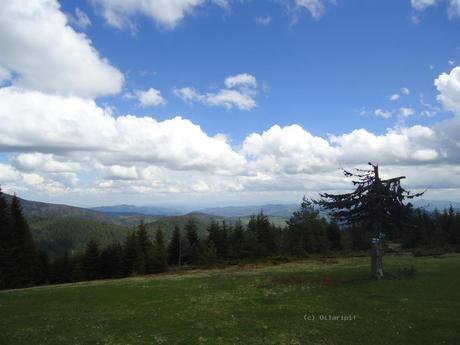 Хижа "Преспа"