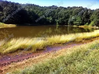 Езеро Синовище - Деветаки