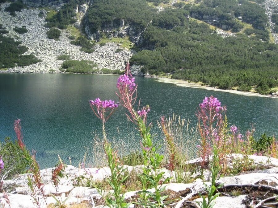 Йончево езеро