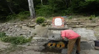 Чешма "Светицата"