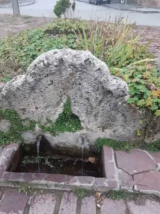 Зольовската чешма - Етрополе