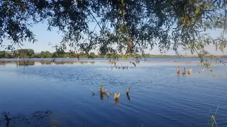 Челопеченско езеро