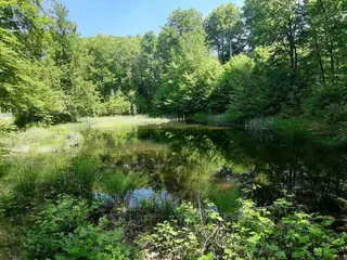 Езеро Мандрата