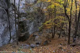 Резерват "Соколна"