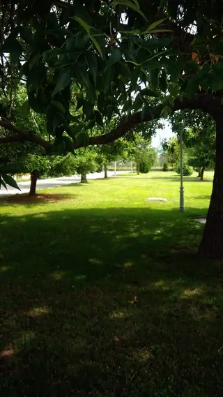 Градски парк - Гурково