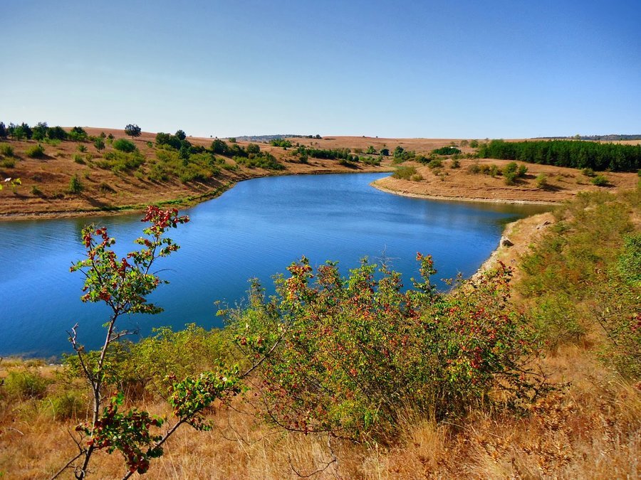 Язовир "Малко шарково"