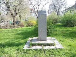 Паметник на Хаим Пизанти - Видин