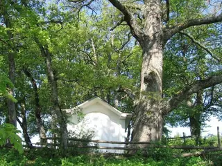 Параклис "Св.Св. Петър и Павел" - Обел