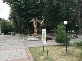 Дървото на живота - Берковица