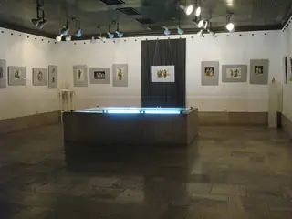 Литературно-художествен музей "Чудомир"