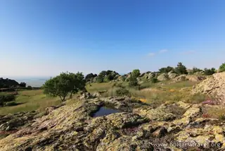 Природен парк "Сините камъни"