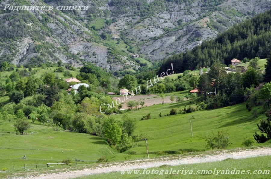 Село Рибен дол