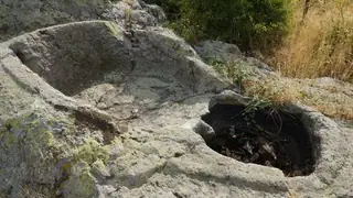 Шарапани - Брястово