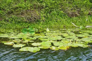 Поддържан резерват "Вельов вир"
