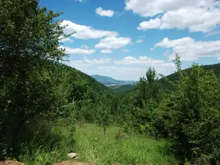 Планински рид "Драгоица"