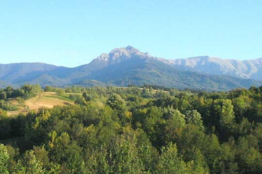 Местност "Турския рът"