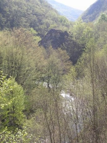 Резерват "Еленова гора"