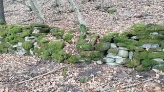 Средновековна крепост Калето - с.Зая