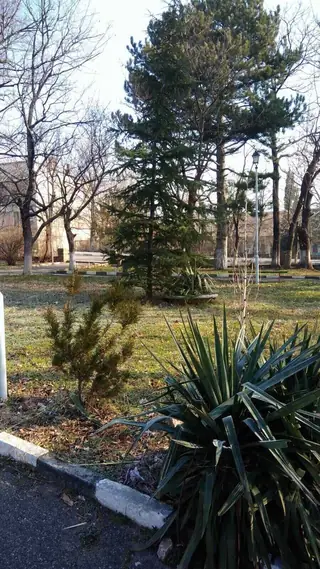 Градски парк - Шивачево