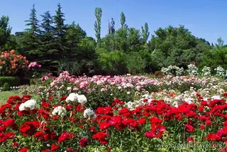 Университетска ботаническа градина – екопарк - Варна