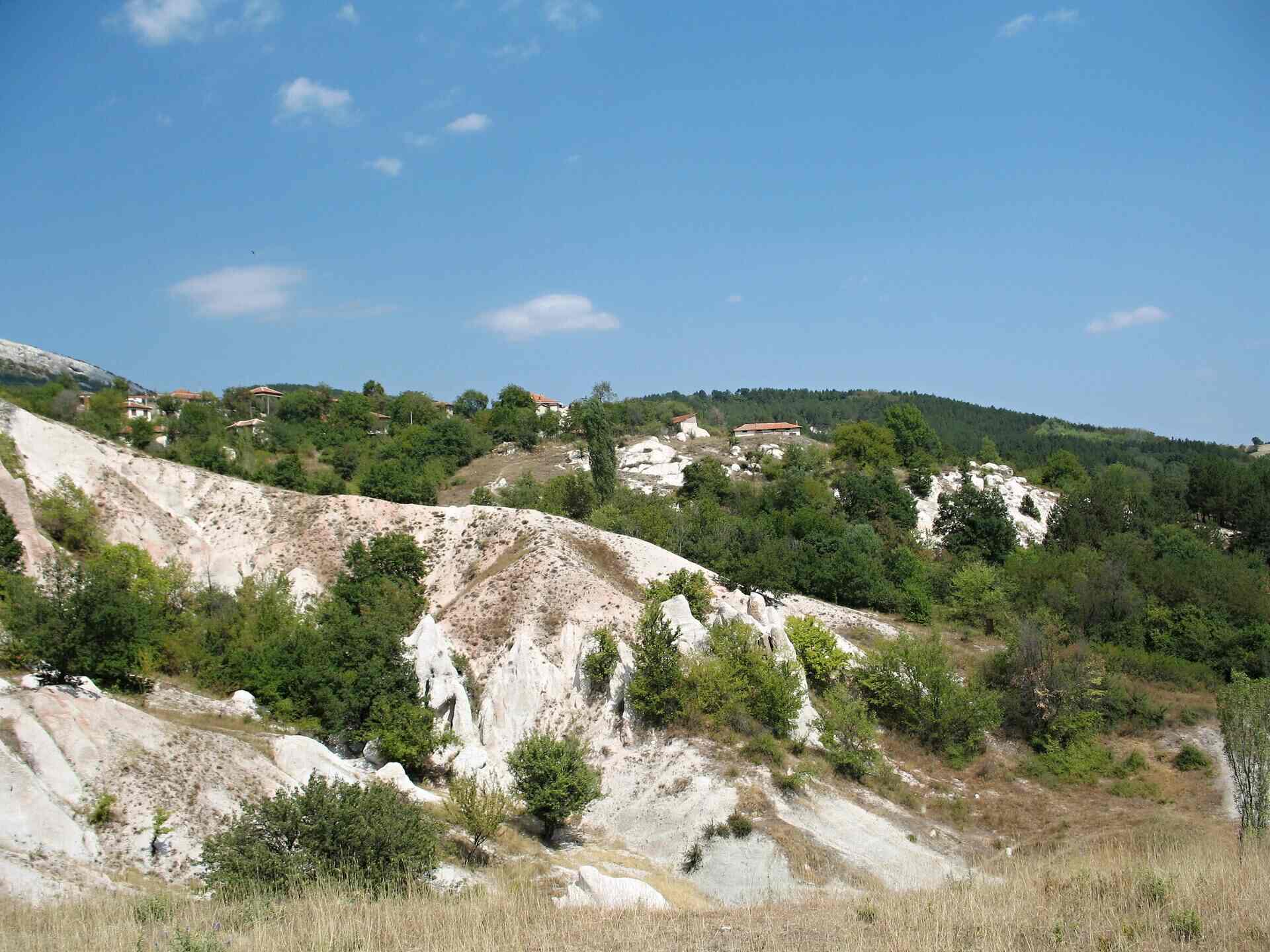 Зимзелен