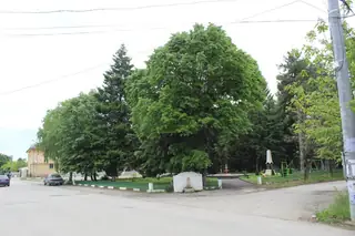 Парк - с. Иново