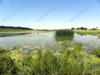 Езеро Дедевец - Деветаки